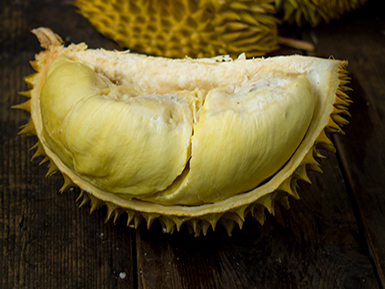 开云棋牌APP下载基地展示二